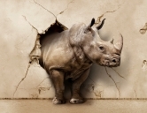Носорог 3D  